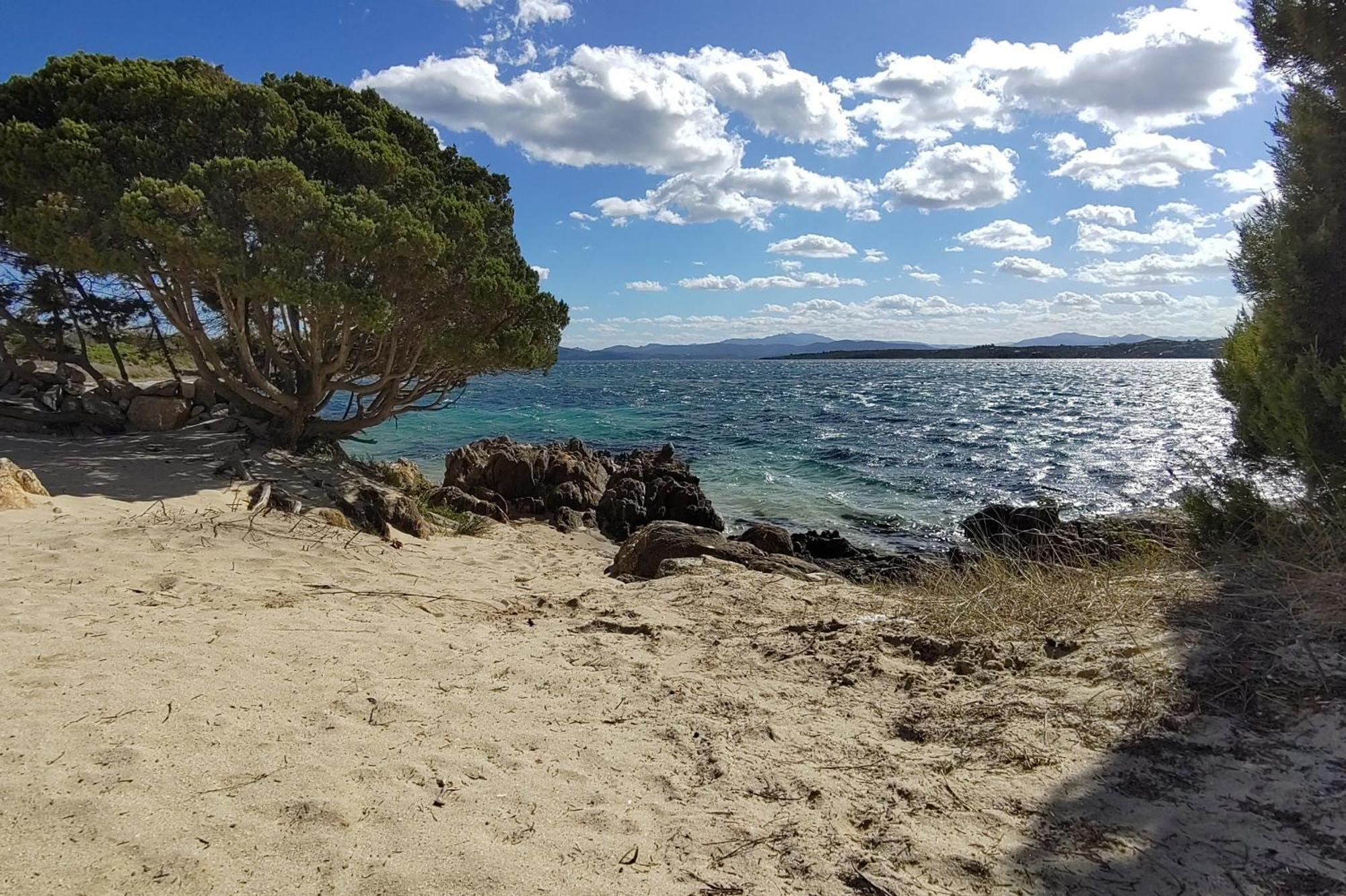 Casa Vacanze Lo Squalo Olbia Zewnętrze zdjęcie